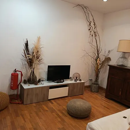Apartament Domus Circo Massimo *